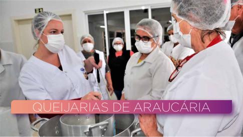 QUEIJARIAS DE ARAUCÁRIA