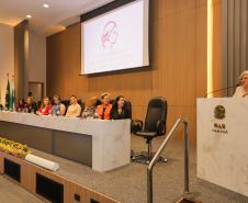 Em solenidade de posse, nova gestão do Conselho dos Direitos da Mulher é diplomada