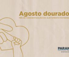 Rede de aleitamento materno e hospitais certificados ajudam milhares de bebês todos os anos