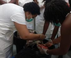 Projeto paranaense de produção de couro de peixe será implantado em Cabo Verde com apoio da ONU
