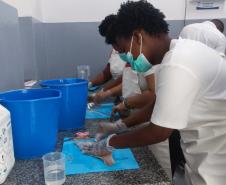 Projeto paranaense de produção de couro de peixe será implantado em Cabo Verde com apoio da ONU