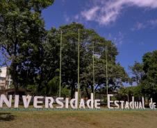 Mulheres são maioria com curso superior no Paraná e representam 58% dos graduados