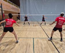 proesporte badminton