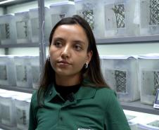Mulheres são maioria com curso superior no Paraná e representam 58% dos graduados