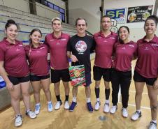 proesporte badminton