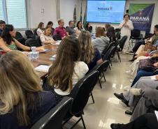 Sesa reforça estratégias para prevenção da mortalidade materna, infantil e fetal no Paraná