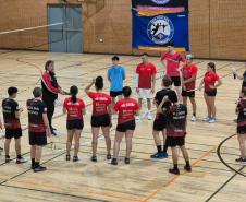 proesporte badminton
