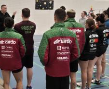 proesporte badminton