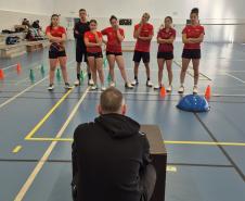 proesporte badminton