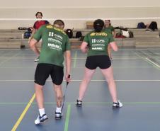proesporte badminton