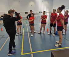 proesporte badminton