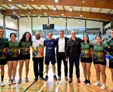 proesporte badminton