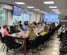 Sesa reforça estratégias para prevenção da mortalidade materna, infantil e fetal no Paraná