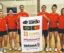 proesporte badminton