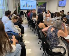 Sesa reforça estratégias para prevenção da mortalidade materna, infantil e fetal no Paraná