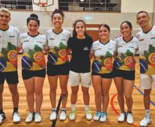 proesporte badminton