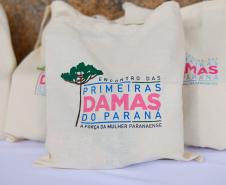 Luciana Saito Massa apresenta programas estaduais às primeiras-damas municipais