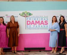 Luciana Saito Massa apresenta programas estaduais às primeiras-damas municipais