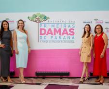 Luciana Saito Massa apresenta programas estaduais às primeiras-damas municipais
