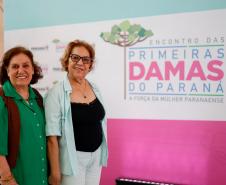 Luciana Saito Massa apresenta programas estaduais às primeiras-damas municipais