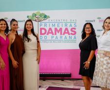 Luciana Saito Massa apresenta programas estaduais às primeiras-damas municipais