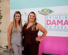 Luciana Saito Massa apresenta programas estaduais às primeiras-damas municipais