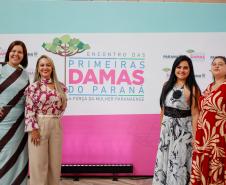 Luciana Saito Massa apresenta programas estaduais às primeiras-damas municipais