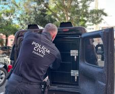 PCPR resgata 5 mulheres em situação de cárcere privado em clínica particular em Antonina