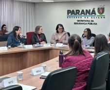 Paraná terá plano para potencializar enfrentamento da violência contra as mulheres
