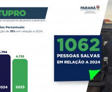 Com ações integradas, Paraná reduz número de feminicídios e estupros em 2025