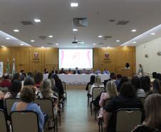 SEMIPI: Nova composição do Conselho Estadual dos Direitos da Mulher assume mandato 2025–2027