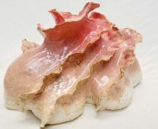 Academia Alfredo Andersen abre temporada de exposições com cerâmica artística