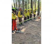 Bombeira conclui curso no Chile e projeta avanços na prevenção de incêndios florestais no Paraná