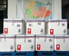 Paraná ofertará novo medicamento para prevenir vírus sincicial em bebês em fevereiro