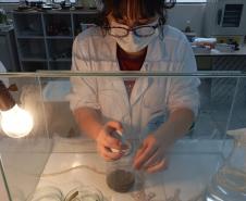 Projetos da rede estadual do Paraná são destaque na Febrace 2025