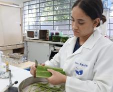 Projetos da rede estadual do Paraná são destaque na Febrace 2025