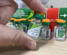 Saúde alerta para importância da imunização contra a coqueluche em crianças e gestantes