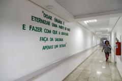 Protagonista nacional, Paraná reforça conscientização no Dia da Doação de Órgãos
