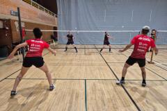proesporte badminton