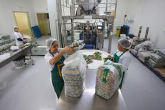 Com 42 mil empregos, Paraná lidera abertura de vagas para mulheres na região Sul