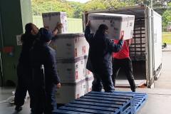 Paraná ofertará novo medicamento para prevenir vírus sincicial em bebês em fevereiro