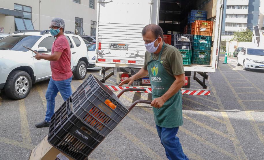 Mulheres impulsionam o Programa Compra Direta Paraná