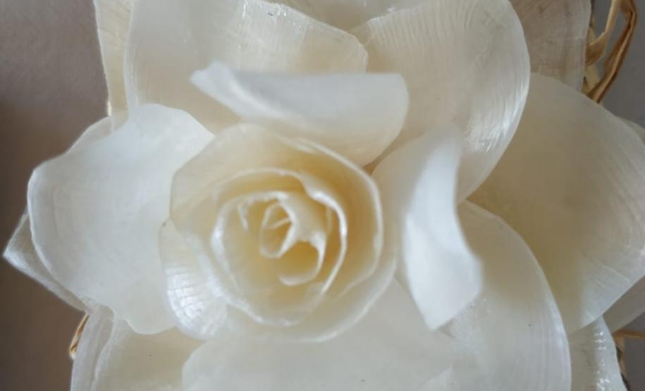 Projeto Couro de Peixe