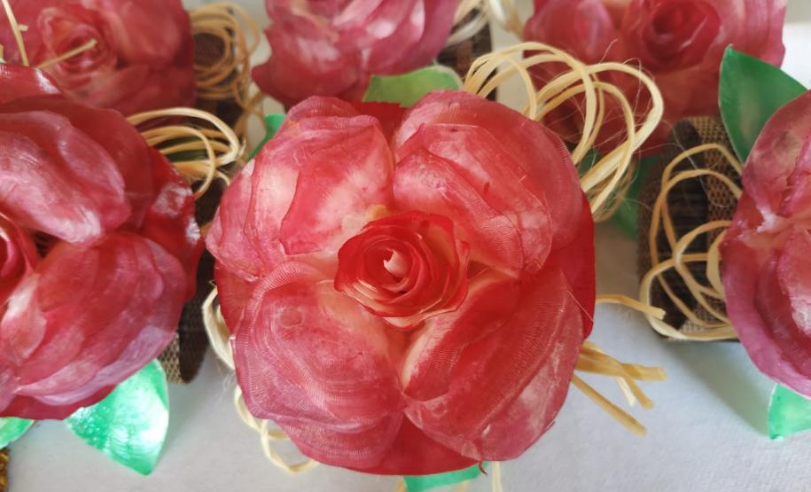 Projeto Couro de Peixe