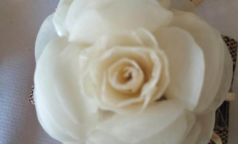 Projeto Couro de Peixe