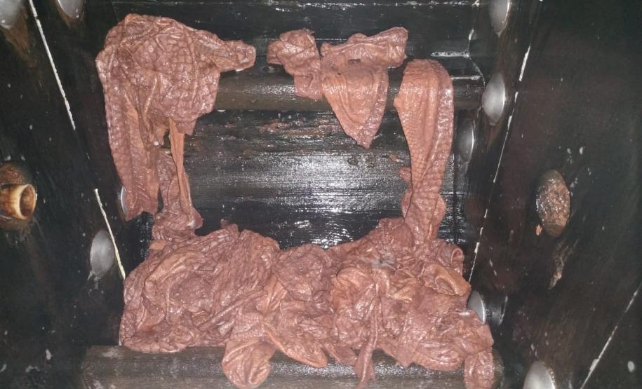 Projeto Couro de Peixe