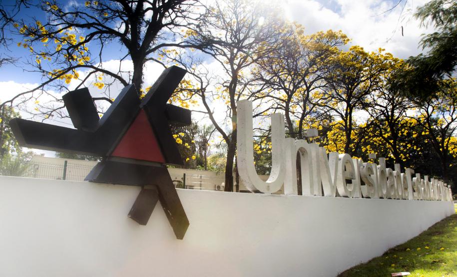 Projeto com a Lei Maria da Penha da UEM vai receber um prêmio na 75ª Reunião da SBPC