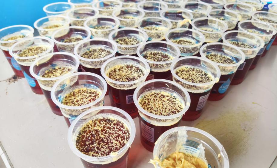 Com apoio da Sanepar, mulheres de União da Vitória fazem sabão ecológico