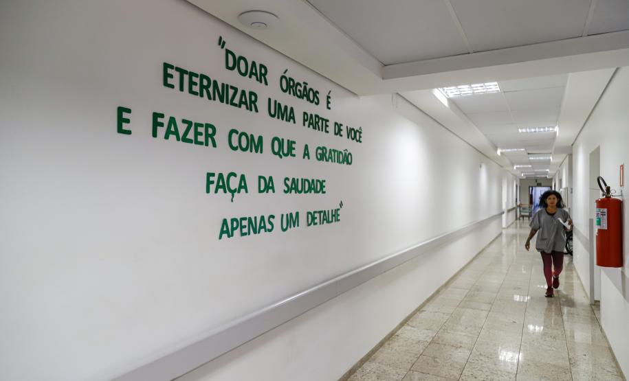 Protagonista nacional, Paraná reforça conscientização no Dia da Doação de Órgãos