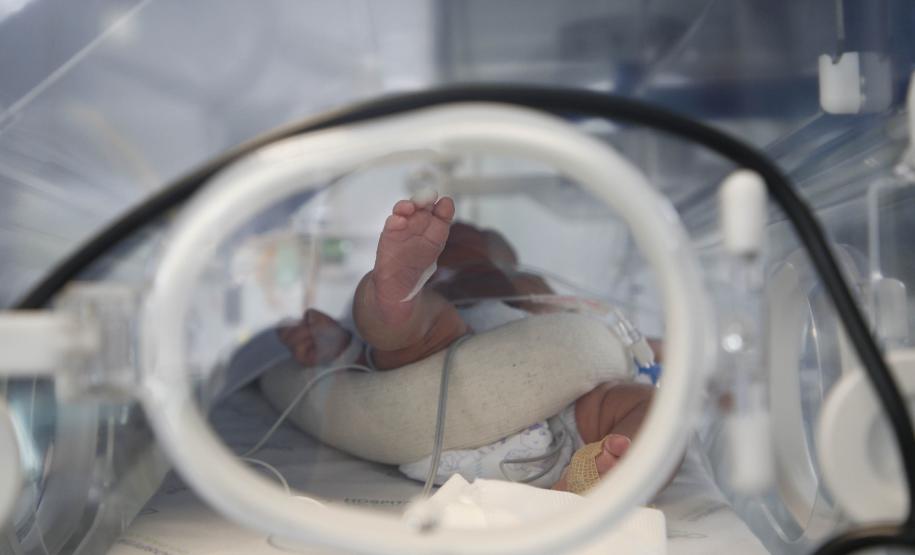 Paraná é o estado que mais realiza consultas de pré-natal pelo SUS